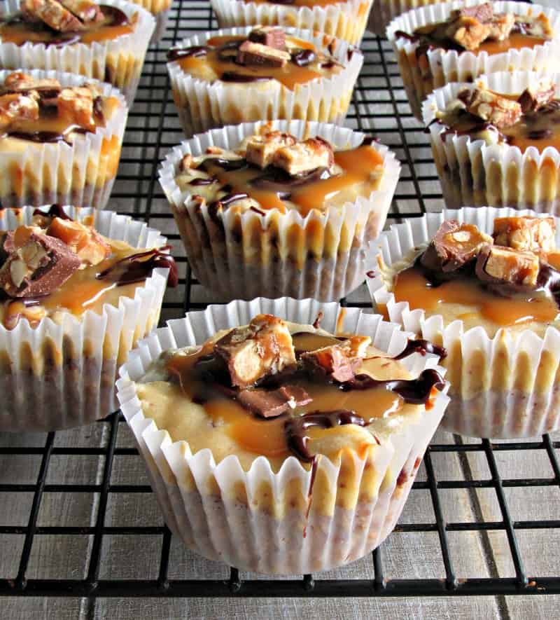 Snickers Cheesecake Bites with crushed pretzel crust - A Gouda Life